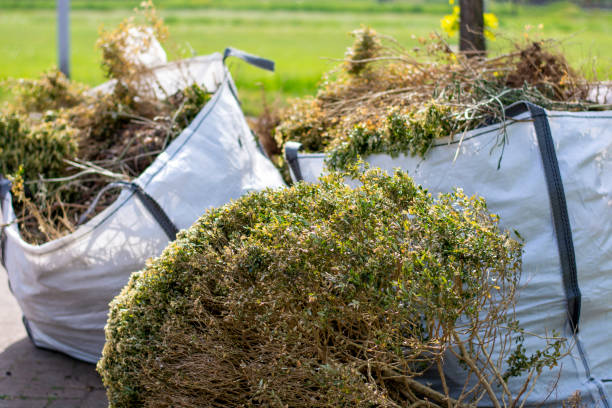 Best Appliance Removal Near Me  in Harrogate, TN